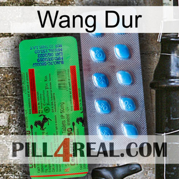 Hard Wang new03